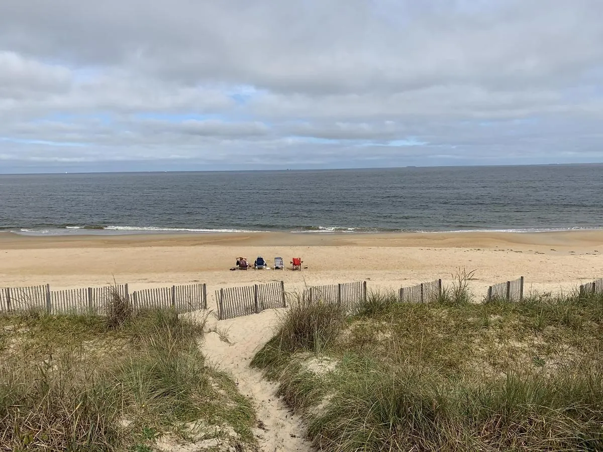 Beach Front On The Bay In Our Rustic, Pet Friendly Cottage Home North Camellia Acres 0*,  Stany Zjednoczone Ameryki