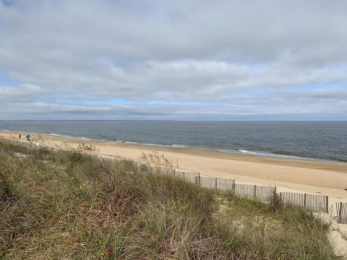 Beach Front On The Bay In Our Rustic, Pet Friendly Cottage Home North Camellia Acres