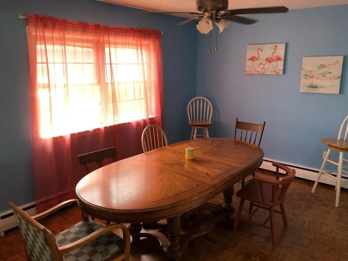 Beach Front On The Bay In Our Rustic, Pet Friendly Cottage Home North Camellia Acres 0*,  Stany Zjednoczone Ameryki