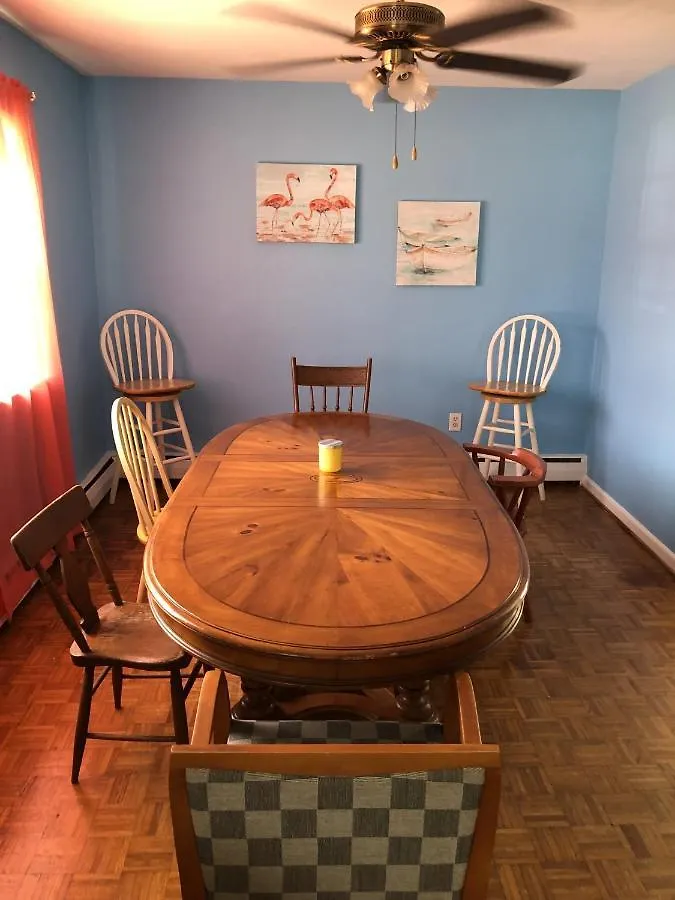 Beach Front On The Bay In Our Rustic, Pet Friendly Cottage Home North Camellia Acres Stany Zjednoczone Ameryki