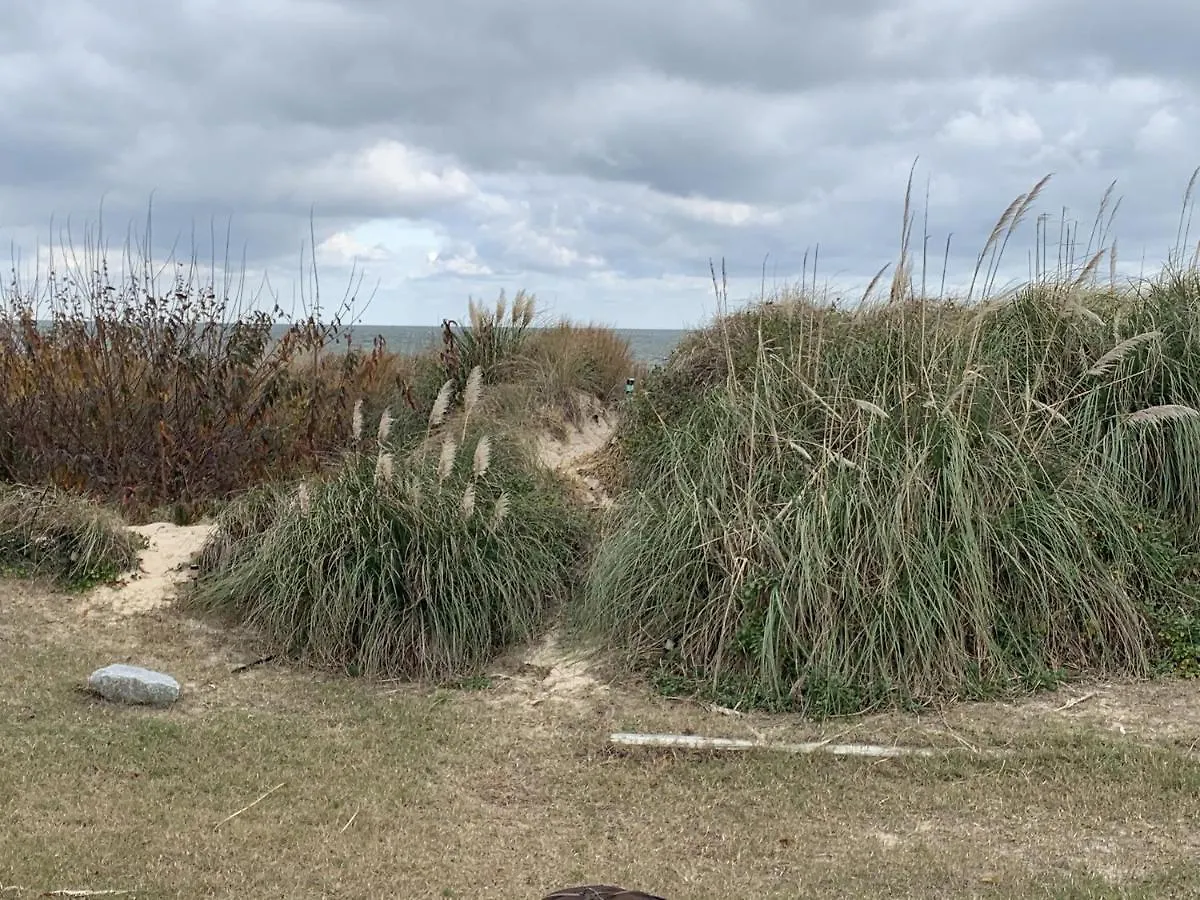 Holiday home Beach Front On The Bay In Our Rustic, Pet Friendly Cottage Home North Camellia Acres