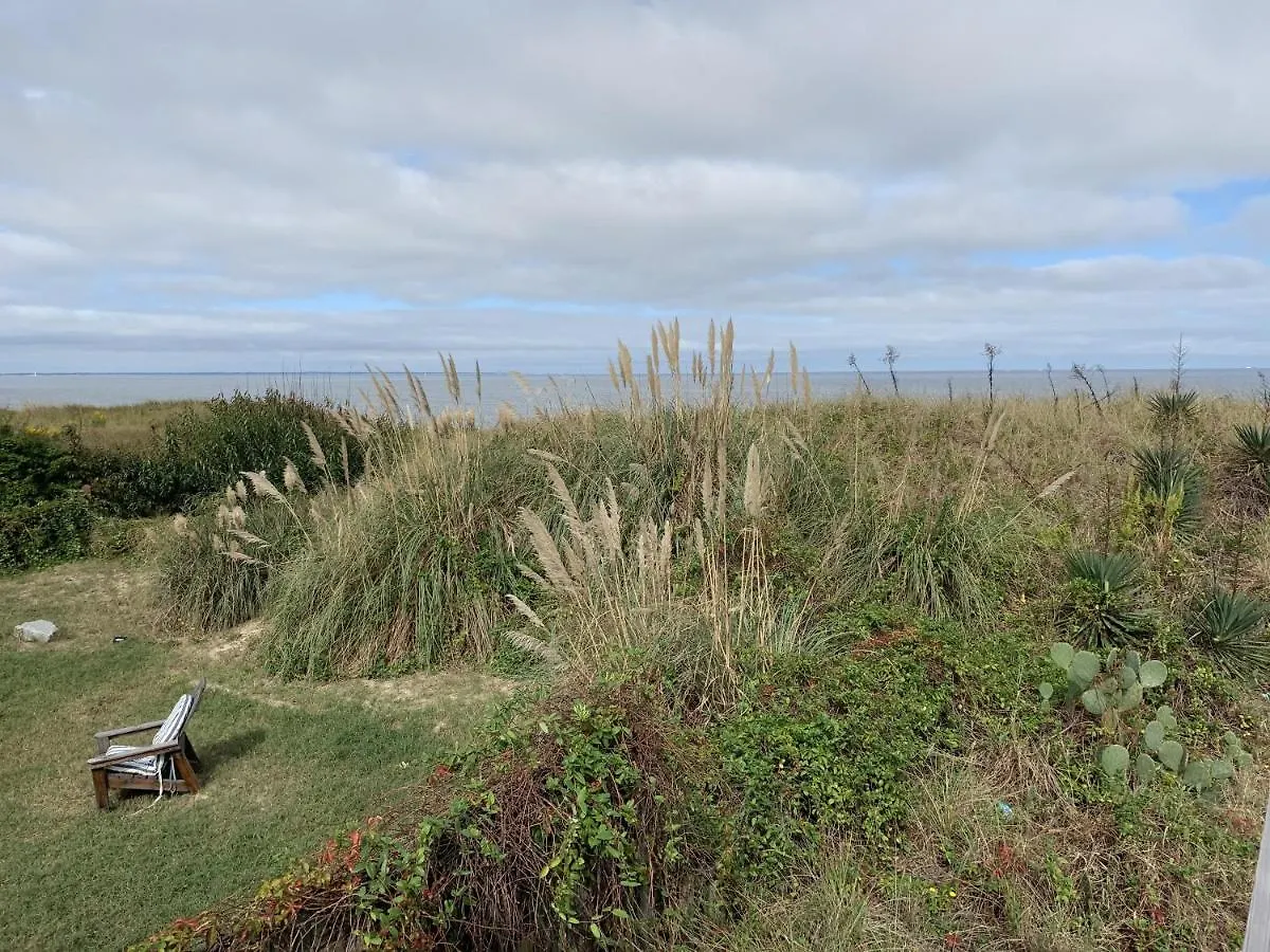 Beach Front On The Bay In Our Rustic, Pet Friendly Cottage Home North Camellia Acres United States