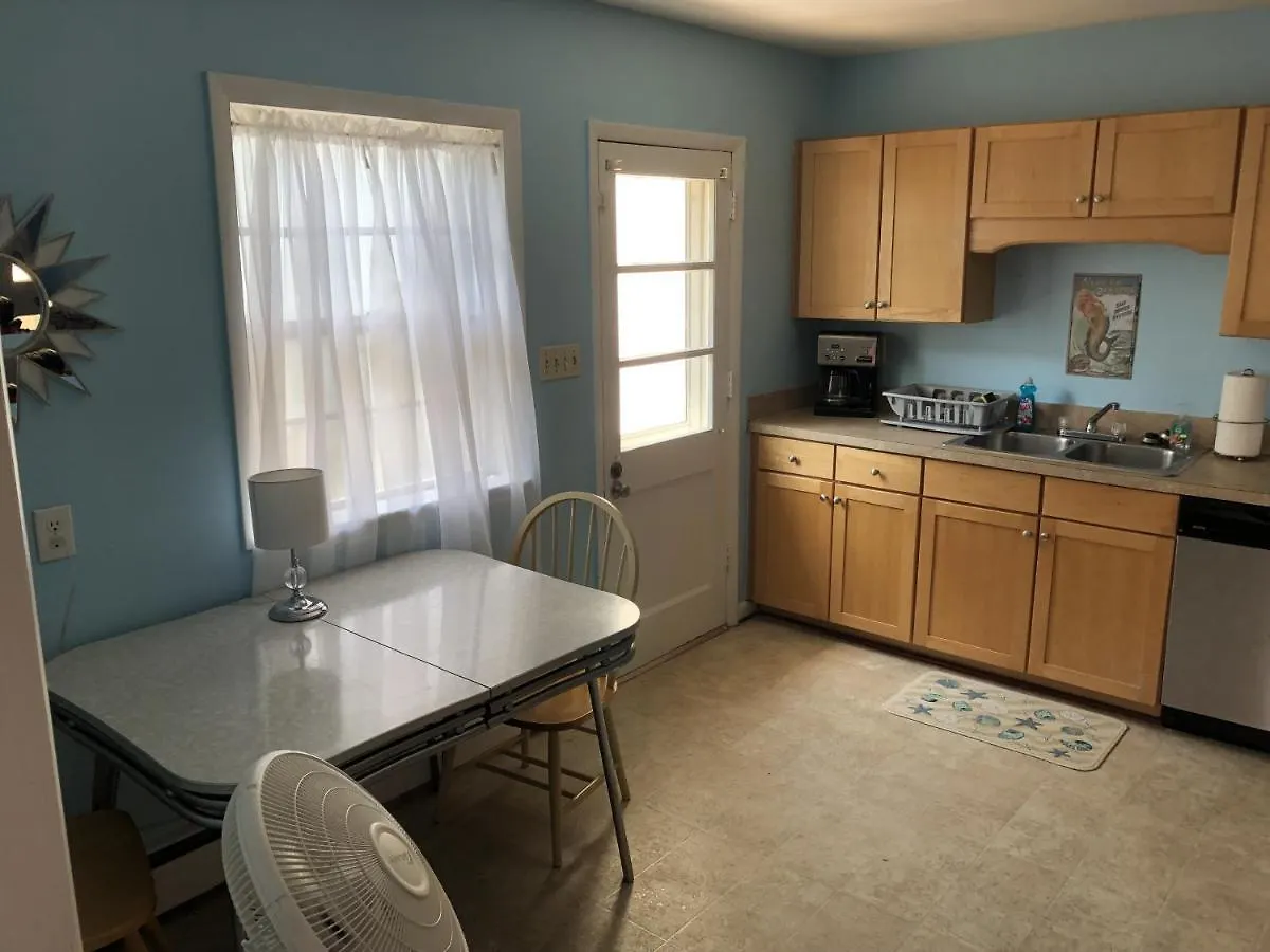 Beach Front On The Bay In Our Rustic, Pet Friendly Cottage Home North Camellia Acres