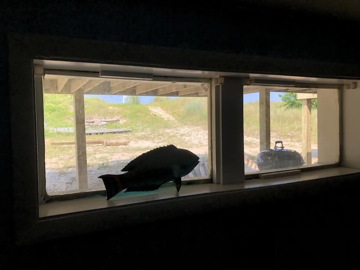 Holiday home Beach Front On The Bay In Our Rustic, Pet Friendly Cottage Home North Camellia Acres