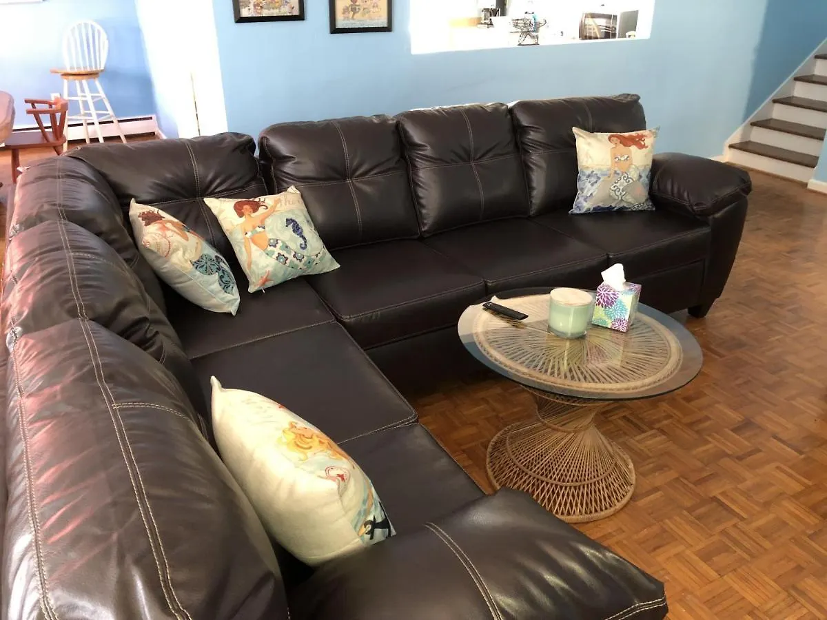 Beach Front On The Bay In Our Rustic, Pet Friendly Cottage Home North Camellia Acres United States